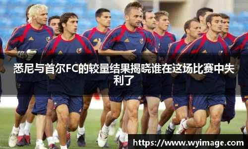 熊猫体育悉尼与首尔FC的较量结果揭晓谁在这场比赛中失利了
